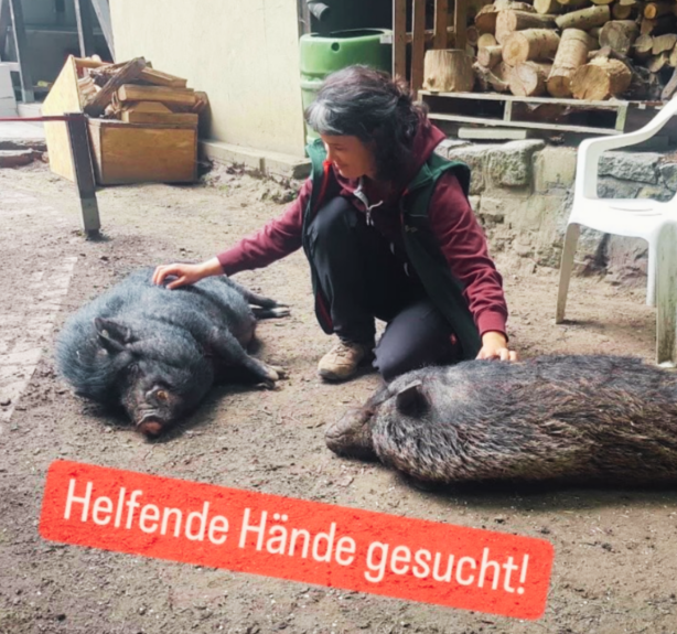 Knirpsenfarm
