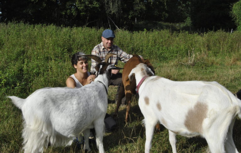Knirpsenfarm